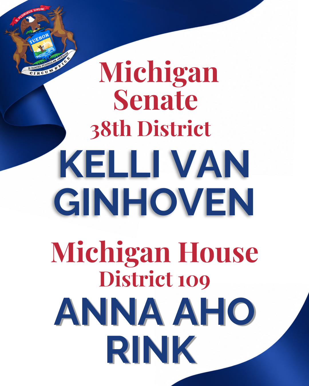 For Michigan State Senate (38th District) vote for Kelli Van Ginhoven and for Michigan House (District 109) elect Anna Aho Rink